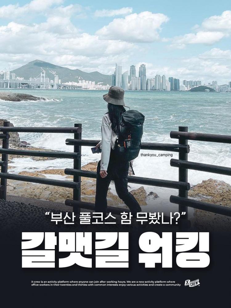 배너